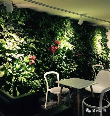 现代柏利大厦生态植物墙项目