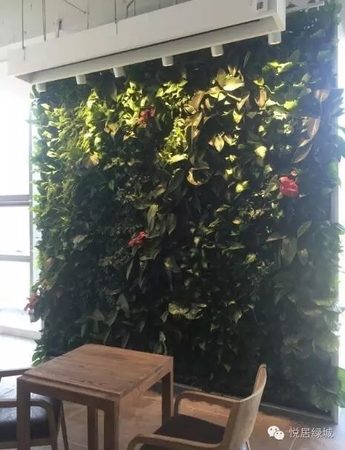 花间派诺德中心体验店生态植物墙项目