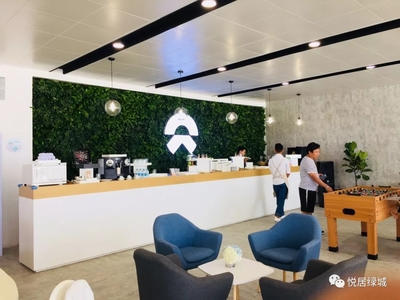 蔚来汽车全国巡展植物墙项目