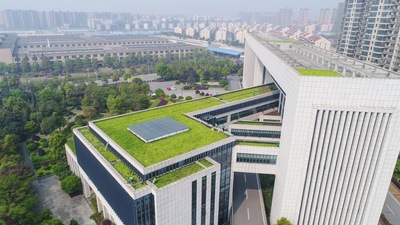 屋顶绿化景观项目