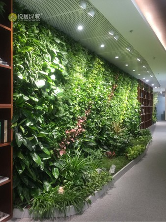 国贸三期顶层嘉宸集团生态植物墙项目（2）