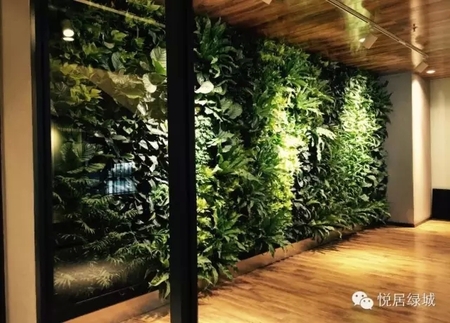 英雄互娱二期（会议室）生态植物墙项目