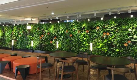 拉蒂娜西餐厅植物墙项目