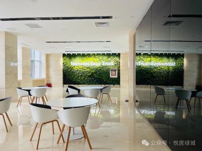 奔驰汽车 绿植墙建设 绿植墙养护