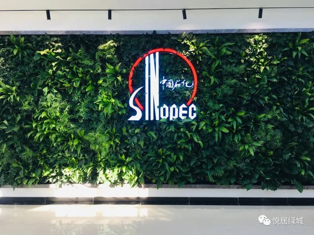 中石化润滑油