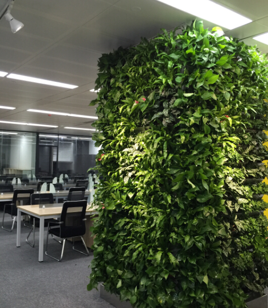 写字楼柱面绿植墙